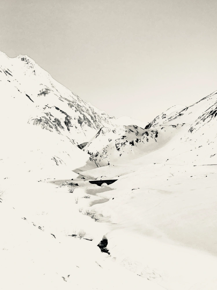 © Claudia Maria Chiappini