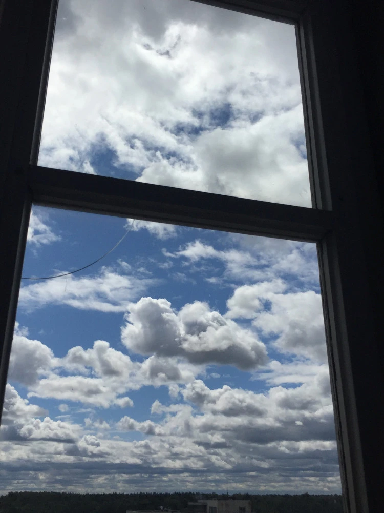 © Claudia Maria Chiappini