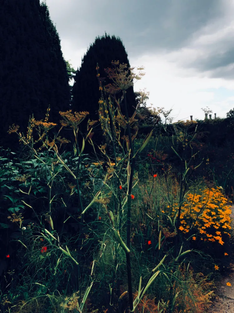 © Claudia Maria Chiappini