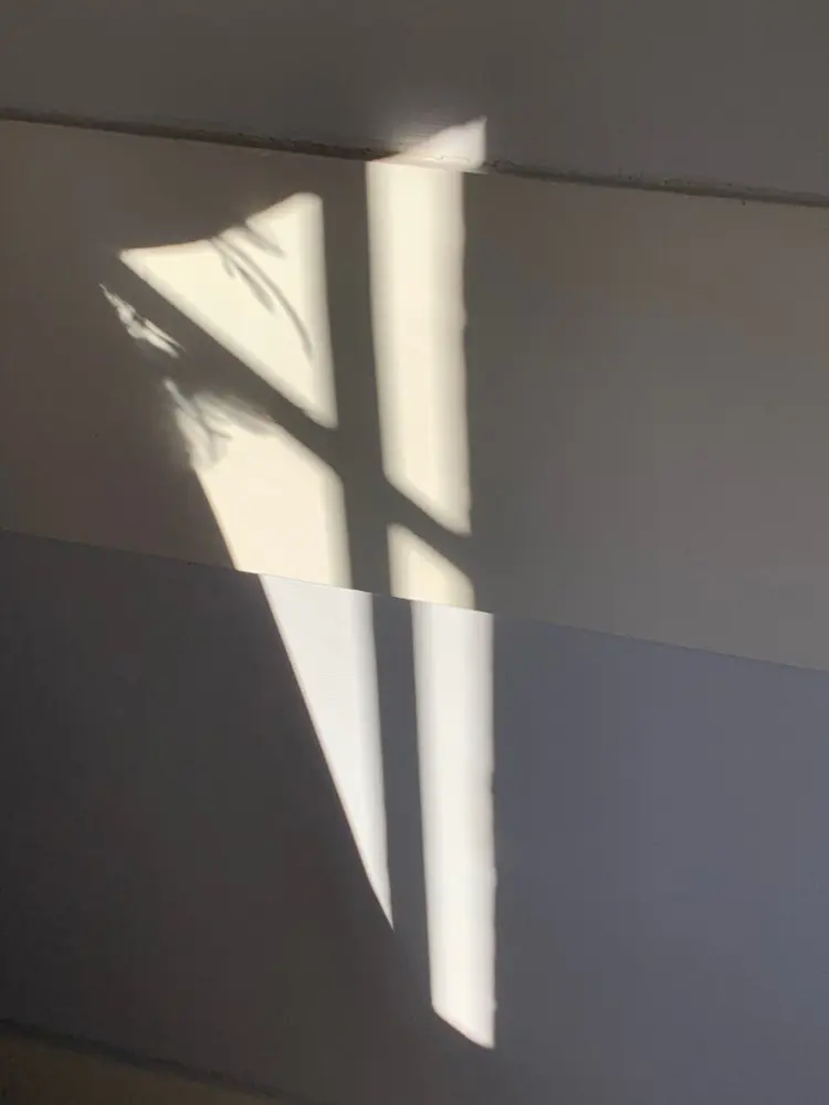 © Claudia Maria Chiappini