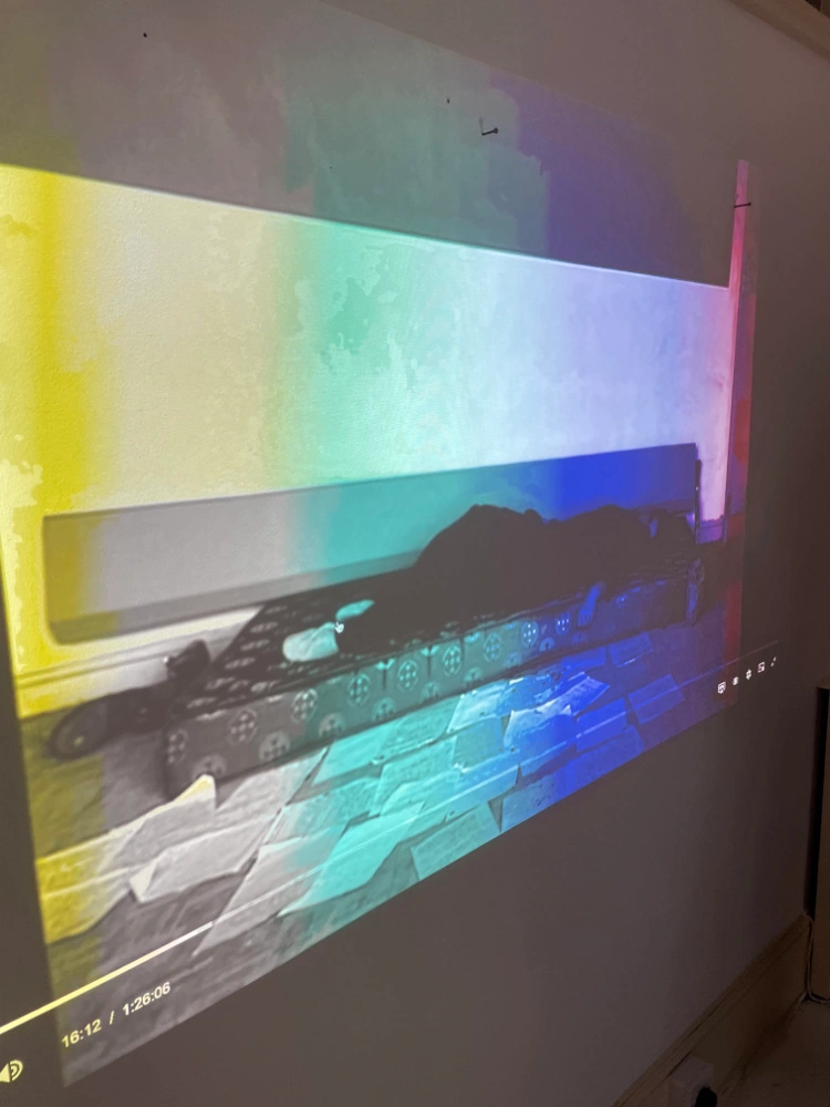 © Claudia Maria Chiappini