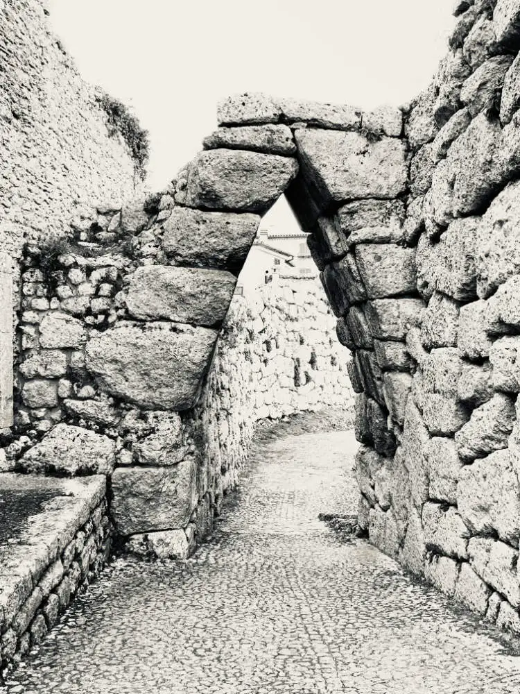 © Claudia Maria Chiappini