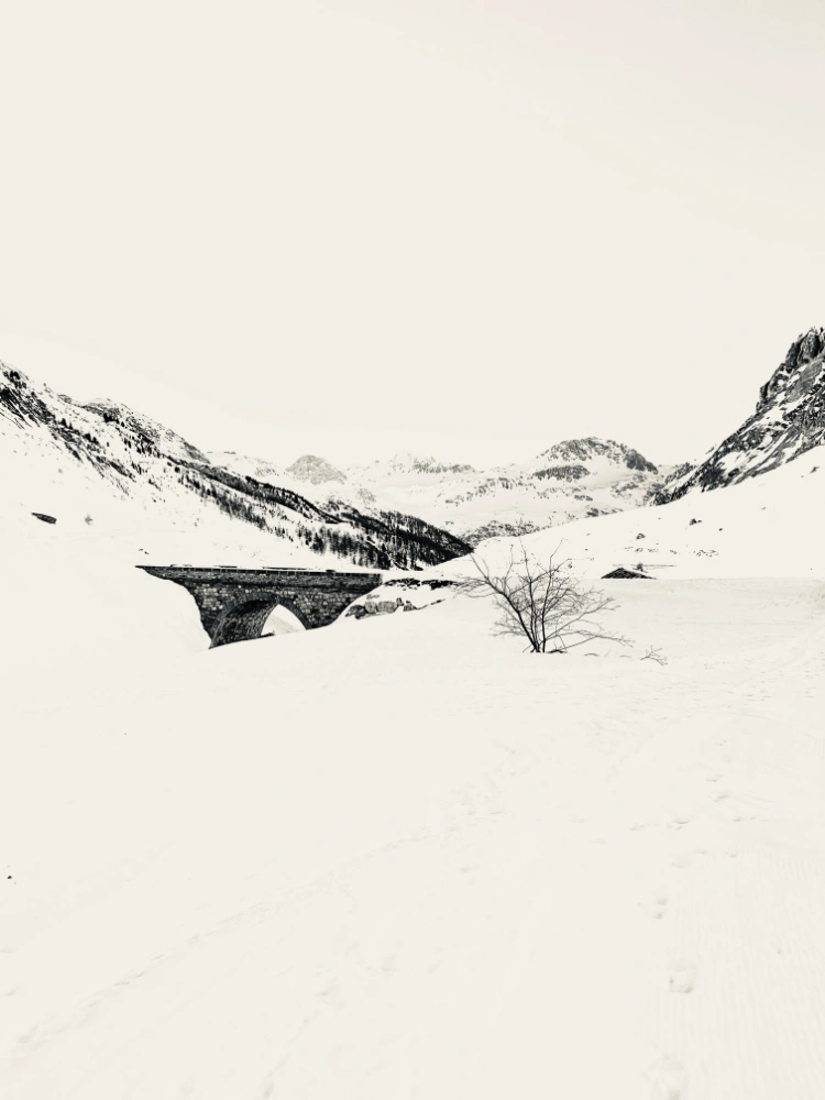 © Claudia Maria Chiappini