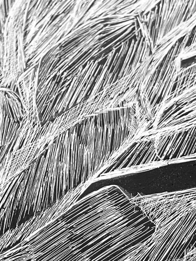 © Claudia Maria Chiappini