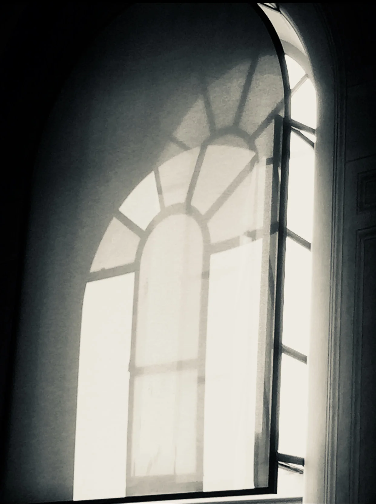 © Claudia Maria Chiappini