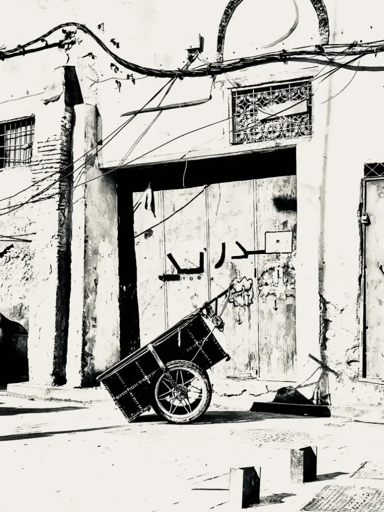 © Claudia Maria Chiappini